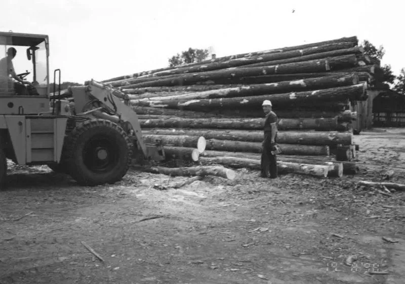 Tartak Felinow historia na zdjęciach